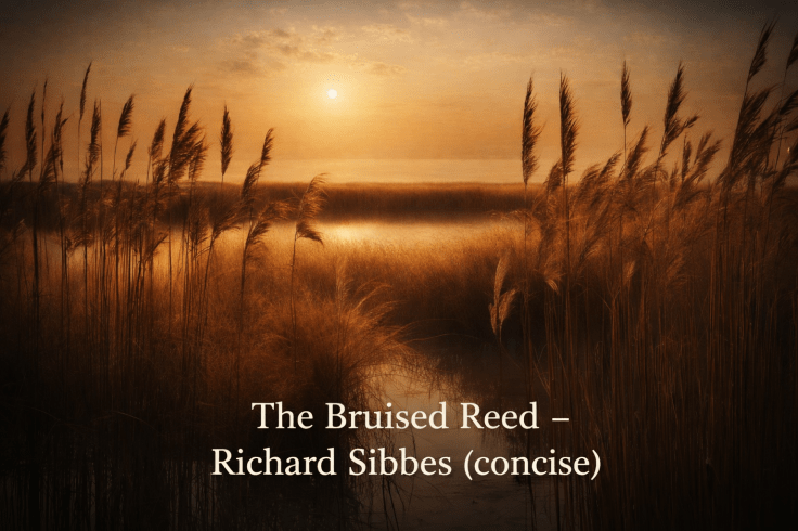The Bruised Reed – Richard Sibbes (concise)